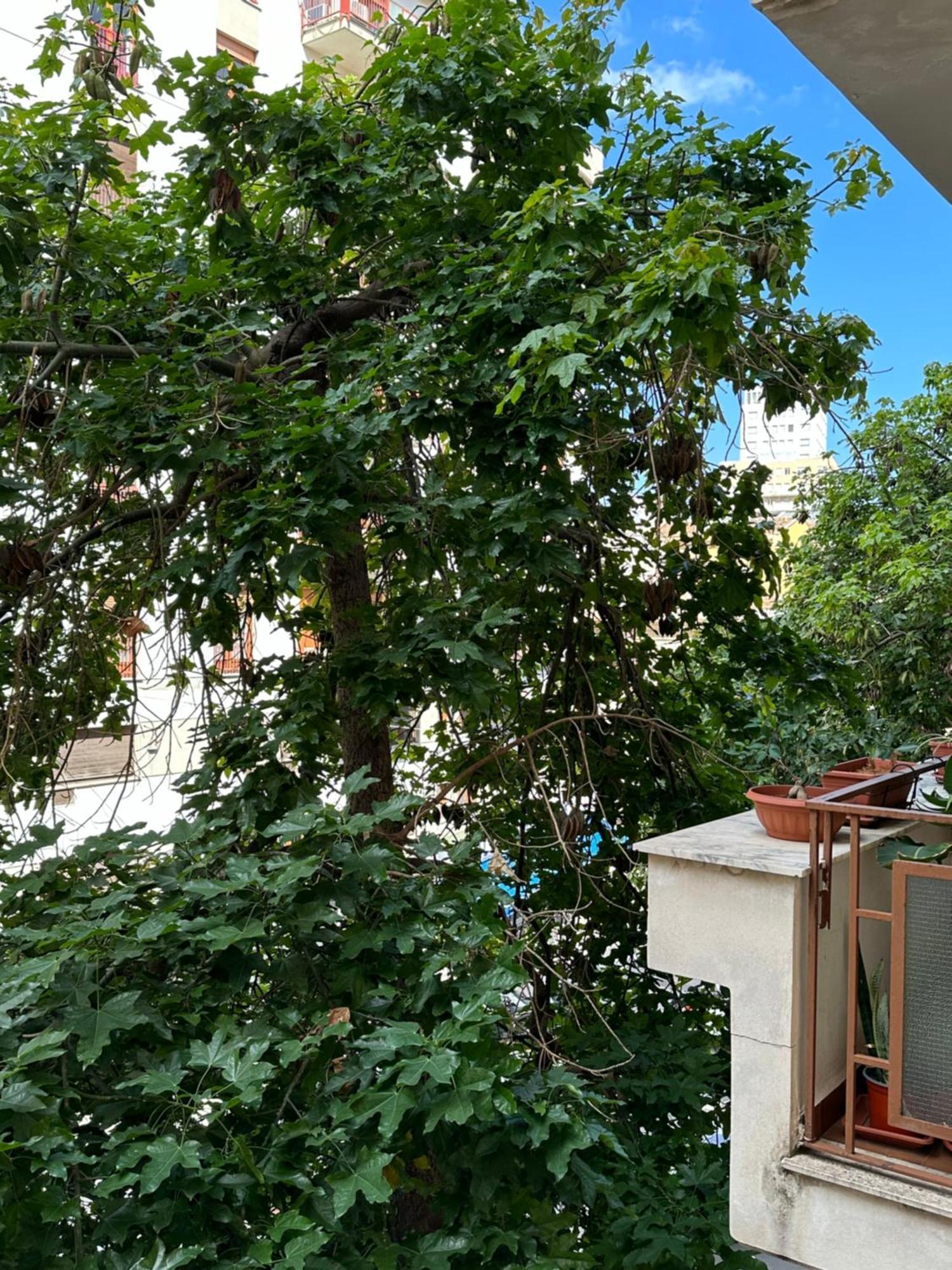 Apartamento Di Fronte A *